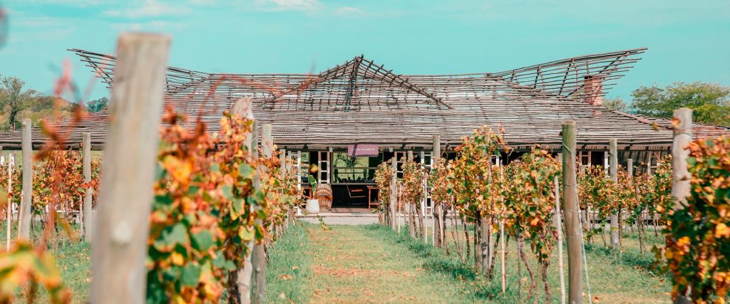 Casa Bodega Gamboa Argentina