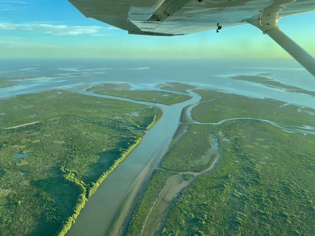 Delta del Paraná