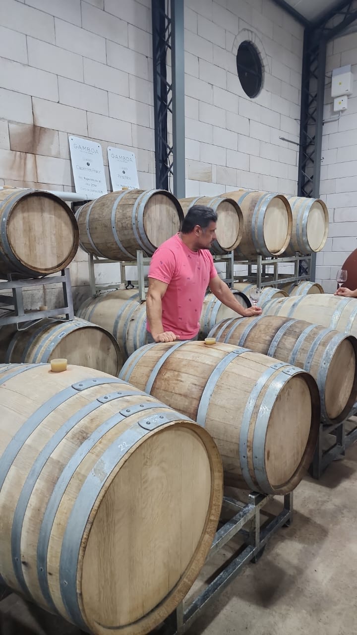 Bodega Gamboa Argentina
