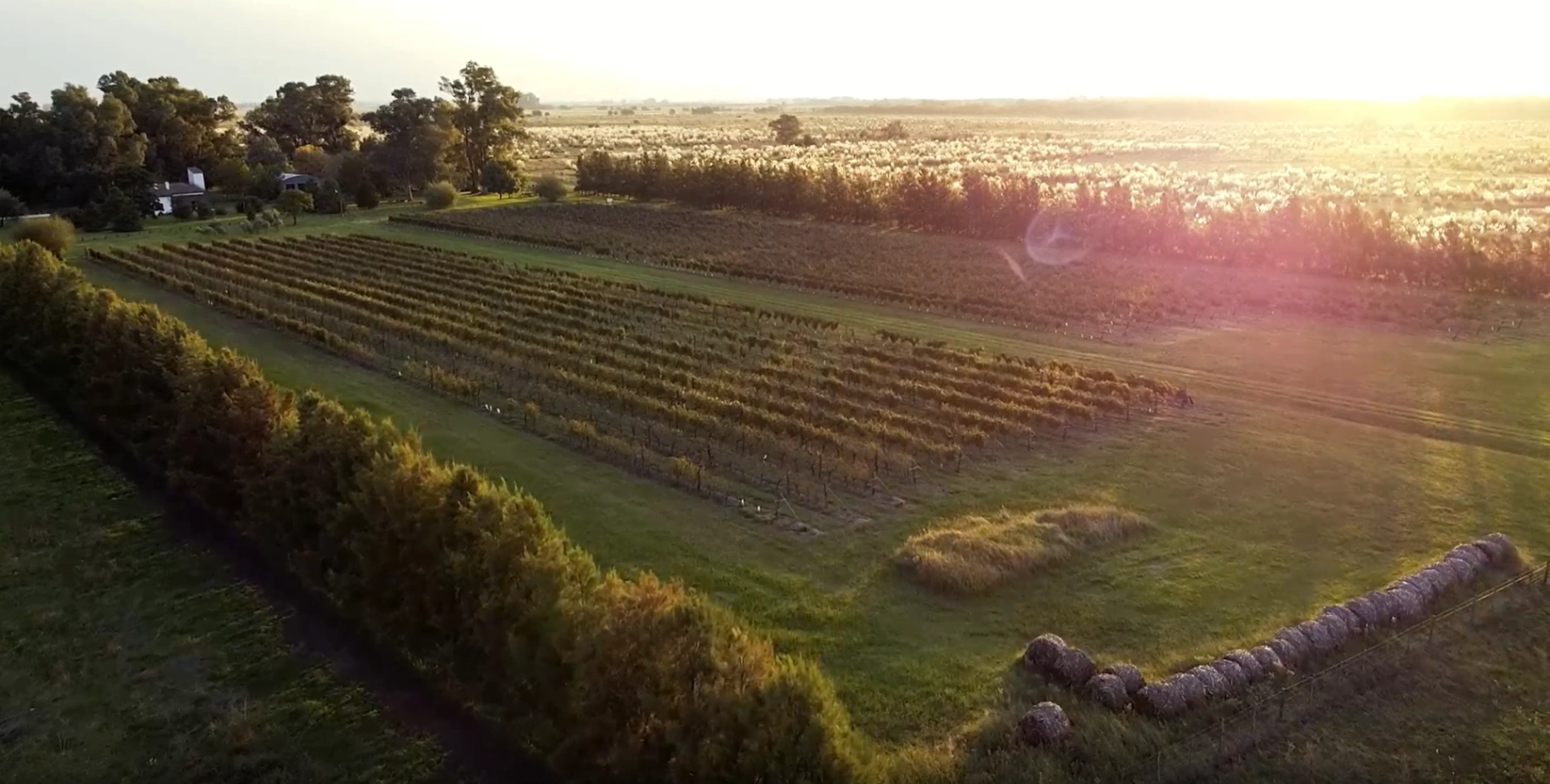 Vista Aérea La Juana Uribe Argentina